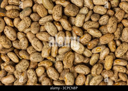 Un mucchio di fagioli pinto in primo piano. Foto Stock