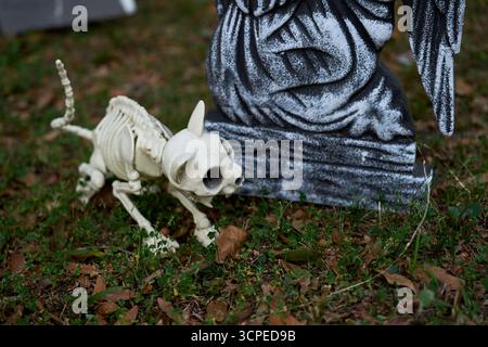 Uno scheletro di gatto osseo accovacciato vicino a una lapide. Le ossa bianche e la statua della tomba creano un inquietante dettaglio del cortile di Halloween. Foto Stock