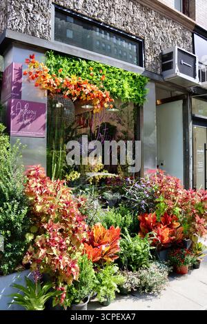 Anthony Ortiz, negozio di fiori su Park avenue in East 82nd Street a Manhattan, New York, settembre 2025 Foto Stock