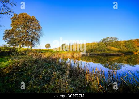Vista del paesaggio autunnale presso l'Holzmaar vicino a Gillenfeld. Natura idilliaca vicino al lago nella regione vulcanica Eifel della Renania-Palatinato. Foto Stock