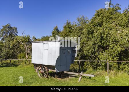 Storico carro dei pastori itineranti sull'Alb svevo a Gruorn. Gruorn è un villaggio deserto vicino a Muensingen, nell'Albano Svevo. TH Foto Stock