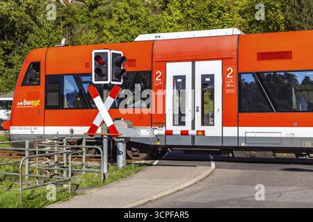 Passaggio a livello alla stazione di Nagold con vagoni ferroviari DB Regio. Il treno viaggia per conto del marchio di mobilità Baden-Wuerttemberg BWEGT. Nagold, male Foto Stock