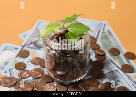Vaso di vetro con monete, germogli e dollari su sfondo arancione chiaro, primo piano Foto Stock