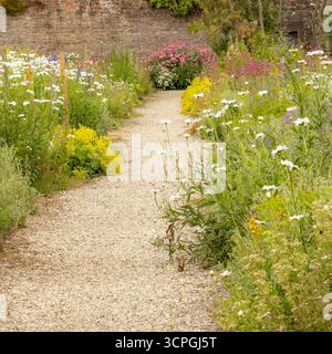 Sentiero di ghiaia nei bordi dei fiori tagliati del giardino murato restaurato. Swinton Park, North Yorkshire, Regno Unito Foto Stock