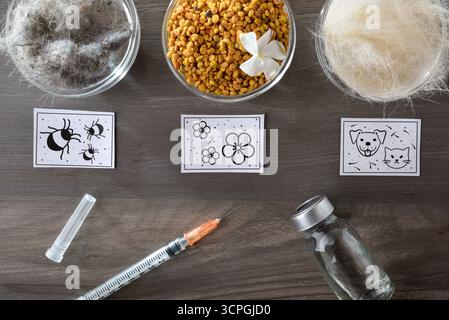 Dettaglio di sfondo con vari allergeni come acari, polline, peli di animali e pelo su un tavolo di legno con diverse dosi di vaccino in fiale Foto Stock