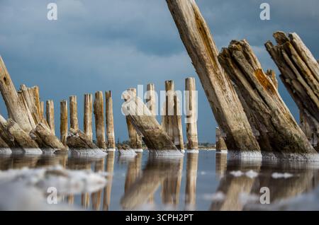 Una composizione potente e dinamica con pali in legno intemperie, alcuni inclinati ad angoli acuti, riflessi nell'acqua ferma di un lago salato. Foto Stock