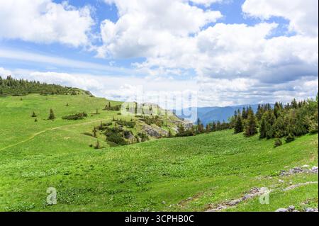 Uno splendido paesaggio di Rax Austria caratterizzato da lussureggianti colline verdi sotto un suggestivo cielo nuvoloso con nuvole bianche che gettano ombre sui vibranti gras Foto Stock