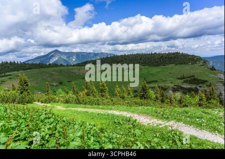 Una vista mozzafiato del monte Rax in Austria che mostra un paesaggio verde vibrante sotto un cielo blu luminoso pieno di soffici nuvole bianche, con connessione wi-fi Foto Stock