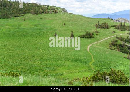 Un paesaggio sereno che mostra le vibranti colline verdi di Rax Austria sotto un cielo soffice e nuvoloso, con un sentiero tortuoso tra prati ondulati che creano un ambiente idilliaco Foto Stock