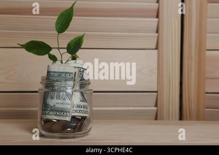 Vaso in vetro con germogli, monete e dollari su tavolo in legno, spazio per testo Foto Stock
