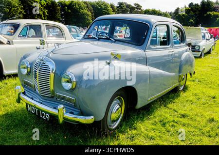 Auto Austin A40 grigia d'epoca parcheggiata su un campo erboso durante una mostra automobilistica classica con altre auto d'epoca sullo sfondo Foto Stock