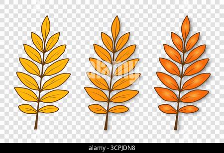 Una serie di semplici e luminose foglie autunnali di colore giallo-arancione su sfondo trasparente. Illustrazione Vettoriale
