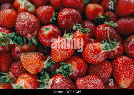 Fondo di fragole rosse fresche. Primo piano di fragole, fotografia ad alta risoluzione. Foto Stock