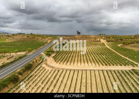 Splendido vigneto nella regione spagnola di la Rioja. Vista aerea di infiniti vigneti in estate, che producono il famoso vino Rioja nel nord della Spagna Foto Stock