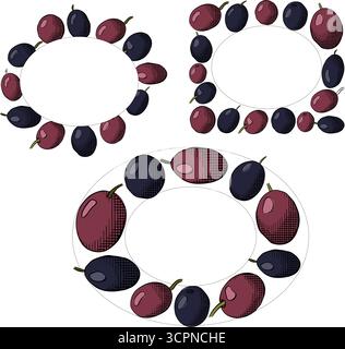 Modello cornice per set rettangolare ovale con bacca nera oliva. Illustrazione colorata con inchiostro a linee grafiche vettoriali. Rosmarino senza frutti, telaio circolare a foglia d'alloro per cartoncino, Illustrazione Vettoriale