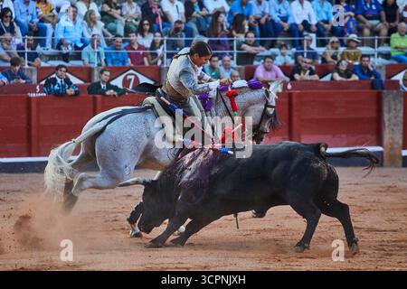 Salamanca, 12 settembre 2025. L'arena di la Glorieta. Corrida con tre donne. Nella foto è riportata la rejoneadora francese Léa Vicens. Foto: Guillermo Navarro. ARCHDC. Crediti: Album / Archivo ABC / Guillermo Navarro Foto Stock