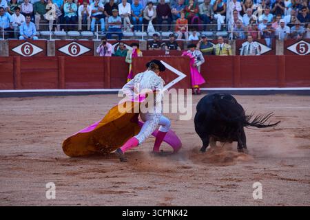 Salamanca, 12 settembre 2025. L'arena di la Glorieta. Corrida con tre donne. Nella foto: Olga Casado. Foto: Guillermo Navarro. ARCHDC. Crediti: Album / Archivo ABC / Guillermo Navarro Foto Stock