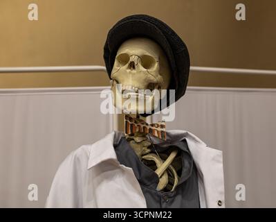 Realistico modello di scheletro di cranio umano in abbigliamento umano. Arredamento umoristico medico per Halloween Foto Stock