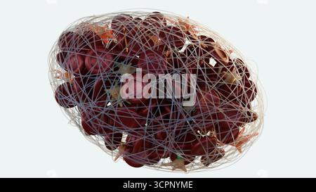 Immagine 3D della formazione di trombi all'interno di un vaso sanguigno Foto Stock