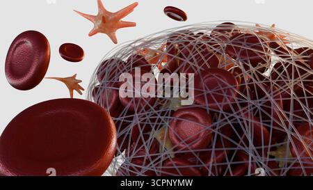 Immagine 3D della formazione di trombi all'interno di un vaso sanguigno Foto Stock