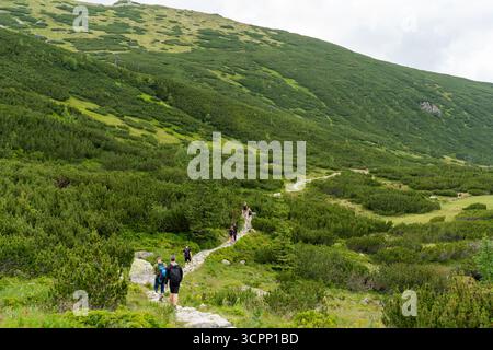 19.07.2025 Polonia, Tatry, Swinica. Gli escursionisti salgono il sentiero di montagna in pietra attraverso i lussureggianti pendii verdi di Tatra con sentiero tortuoso e vegetazione di pini nani Foto Stock
