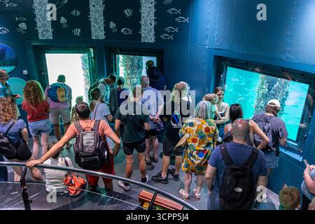 L'Osservatorio sottomarino alla fine del pontile in legno del XIX secolo, lungo 1,841 km che si estende nell'Oceano Indiano a Bussleton, nella regione SW di Foto Stock