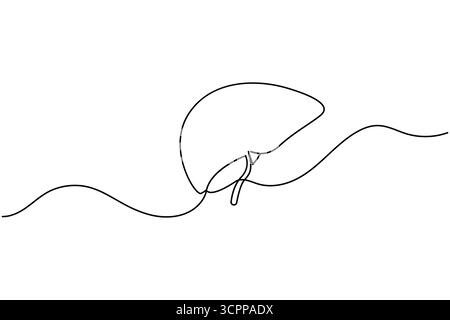 Disegno a linea singola continuo dell'anatomia epatica. illustrazione vettoriale del contorno del concetto di organo umano isolato Illustrazione Vettoriale