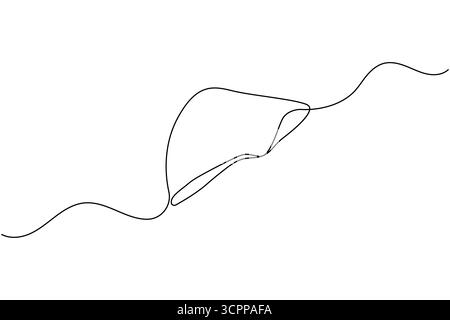 Disegno a linea singola continuo dell'anatomia epatica. illustrazione vettoriale del contorno del concetto di organo umano isolato Illustrazione Vettoriale