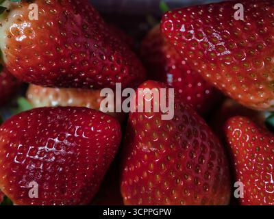 Dettagli macro scuri di fragole mature - primo piano estremo di un mucchio di fragole rosse mature con dettagli elevati sui semi e sulla pelle. PE Foto Stock