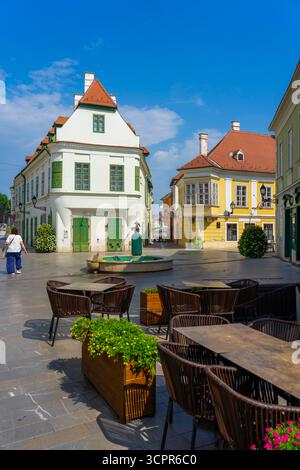 Affascinante piazza europea della città vecchia con case colorate, fontana e terrazza caffè a Gyor Ungheria. Foto Stock