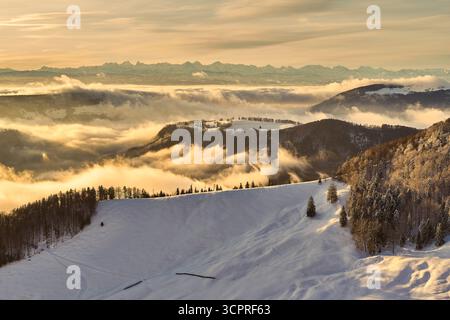 Svizzera, Passwang, Passwang se, se, Soletta, Mümliswil-Ramiswil, Schwarzbubenland, Sunrise, Vogelberg, febbraio Foto Stock