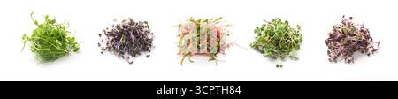 Assortimento di microverdi freschi primi piani isolati su bianco Foto Stock