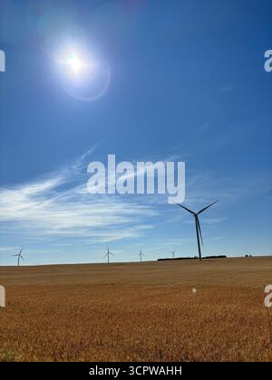 Gruppo di turbine eoliche alte in un vasto campo di grano dorato sotto un cielo azzurro e luminoso, che sfruttano l'energia rinnovabile in un paesaggio agricolo. Foto Stock