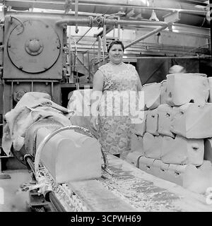 Un ritratto di una lavoratrice donna in piedi orgogliosamente su un nastro trasportatore che trasporta grandi blocchi di argilla grezza presso lo Slavyansk Fittings and Insulator Plant (AIZ) nella RSS Ucraina negli anni '1970 Questa foto d'archivio monocromatica cattura la dignità del lavoro in una fabbrica dell'era sovietica. La posizione sicura della donna tra i macchinari pesanti e le materie prime mette in evidenza il ruolo essenziale del lavoro femminile nelle industrie pesanti fondamentali della regione del Donbas. Foto Stock