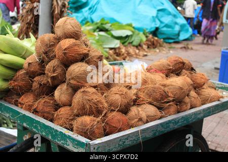 Un mucchio di noci di cocco fresche accumulate su un carrello di legno in un mercato indiano di strada, frutta tropicale. Involucro rigido, carne bianca commestibile e liquido all'interno. Albero della vita Foto Stock