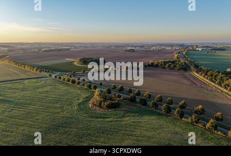 Ampi terreni agricoli si estendono attraverso il paesaggio sotto la luce soffusa del mattino, con strade alberate che dividono campi verdi e marroni in un tranquillo ambiente rurale Foto Stock