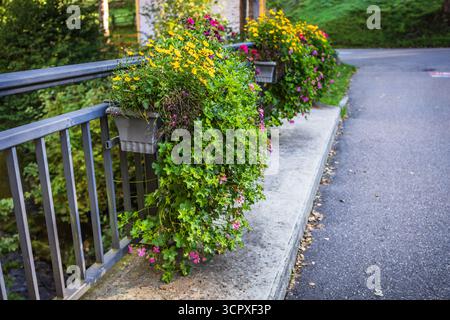 Vasi di fiori con piante assortite su un ponte, urbanizzazione e decorazione della città Foto Stock