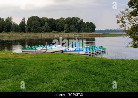 Una fila di pedalò blu e verdi è ormeggiata ordinatamente in un piccolo molo, pronto per il noleggio sul tranquillo lago. Foto Stock