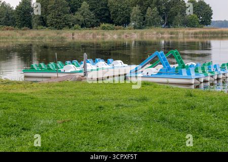 Una linea di pedalò blu e verdi è ormeggiata ordinatamente in un piccolo molo di legno, in attesa sul tranquillo lago circondato da foresta e canne. Foto Stock