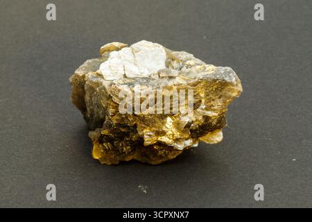 Primo piano di una roccia minerale marrone-oro, forse mica, con inclusioni bianche e nere su sfondo grigio scuro. Chiamato anche Muskowit. Foto Stock