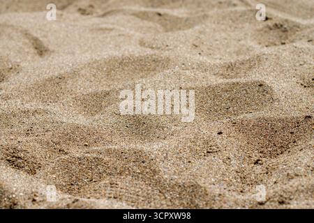 Un primo piano, poco profondo, di sabbia ondulata. I grani di sabbia variano nel colore, con sfumature di abbronzatura, beige e marrone chiaro. Foto Stock