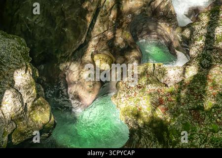Le acque turchesi del fiume Mostnica intagliano un sentiero di cristallo attraverso la sua ripida gola, circondata da rocce muschiate e dalla tranquilla natura selvaggia del Triglav Foto Stock
