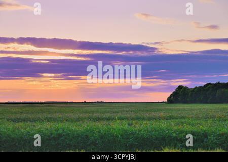 Woodland, Illinois, Stati Uniti. Le nuvole danno forma e colore al sole che tramonta su una sezione di terreno agricolo rurale nell'estremo est dell'Illinois centrale. Foto Stock