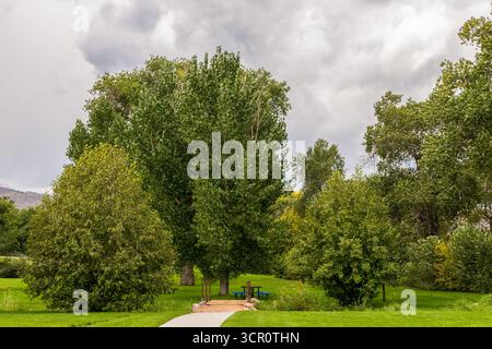 Piccolo parco di quartiere nel Colorado settentrionale in una tarda giornata estiva Foto Stock