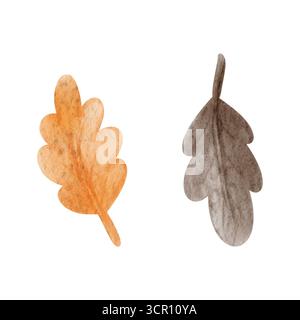 Foglie di quercia acquerello arancio e marrone. Illustrazione disegnata a mano isolata su uno sfondo. Per i disegni autunnali. Foto Stock