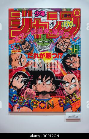 tokyo, giappone - 06 ottobre 2024: 17° copertina di Dragon Ball intitolata "World Martial Arts Tournament, The Strongest 8! Chi vincerà?" Il 18 aprile 1988 a Mont Foto Stock