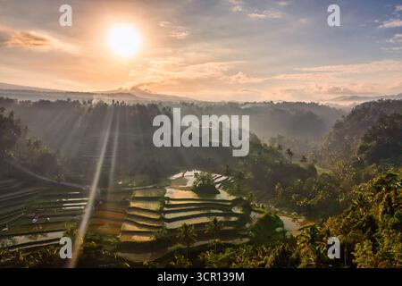 Drone aereo splendida vista dei campi di riso da Mahagiri, Menanga Village, Karangasem Regency a Bali, Indonesia durante l'alba. Foto Stock