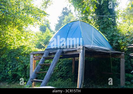 Tende su piattaforme di legno sopraelevate in un lussureggiante cortile di foresta. Disposizione esclusiva per il campeggio con tende sopra terra su palafitte in un ambiente verde. Campeggio Foto Stock