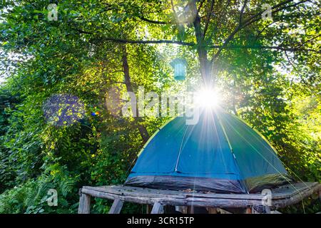 Tende su piattaforme di legno sopraelevate in un lussureggiante cortile di foresta. Disposizione esclusiva per il campeggio con tende sopra terra su palafitte in un ambiente verde. Campeggio Foto Stock