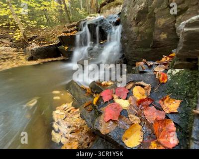 Autumn creek nel parco nazionale di Mont Tremblant, Canada Foto Stock